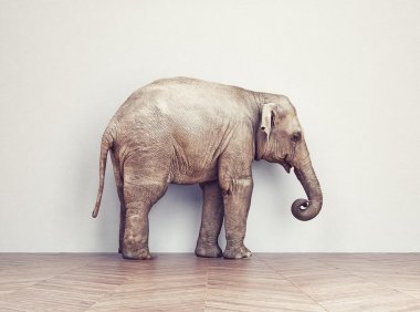 文章样式五:视频列表