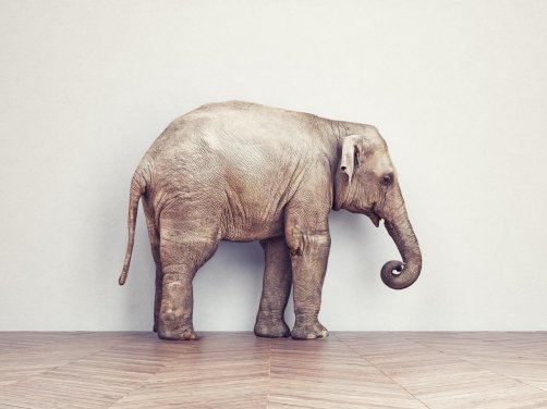 文章样式五:视频列表